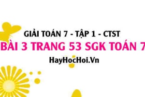 Giải bài 3 trang 53 Toán 7 Tập 1 SGK Chân trời sáng tạo